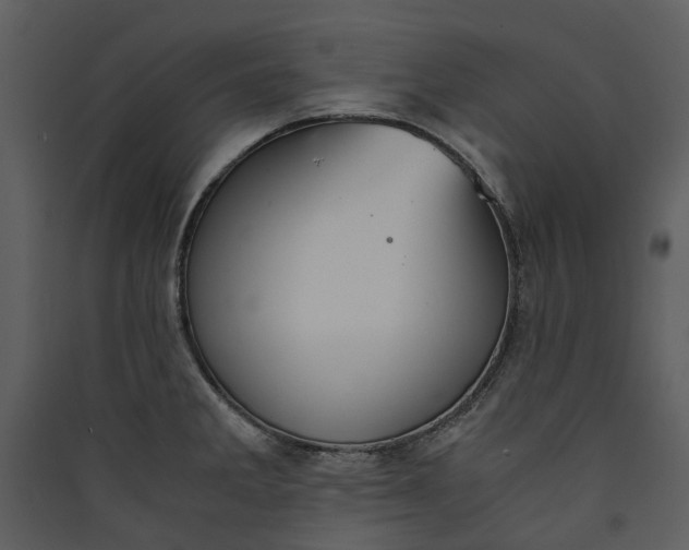 X0000089931285200707131424