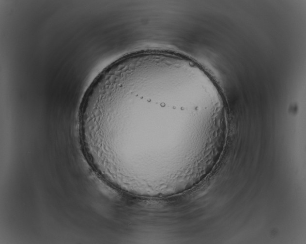 X0000089931287200707131424