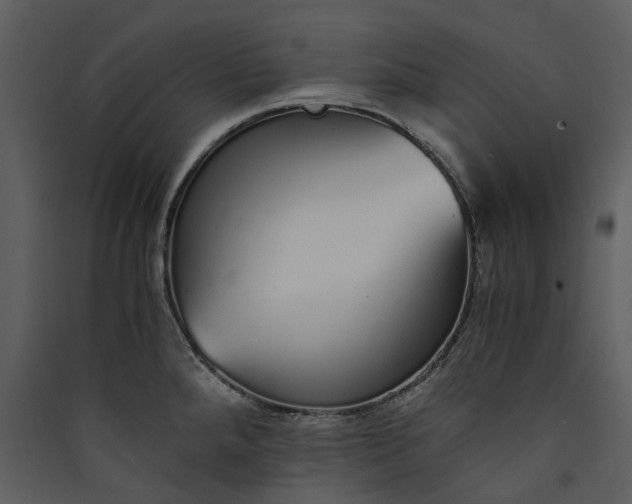 X0000089931288200707131424