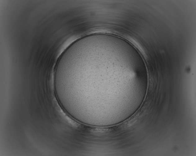 X0000089931290200707131424