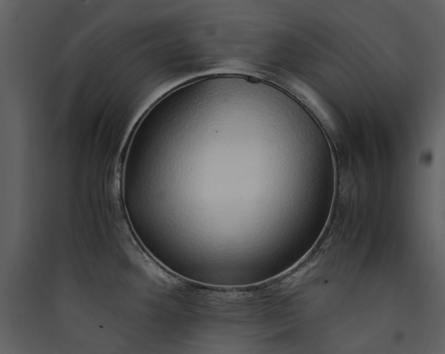 X0000089931292200707131424