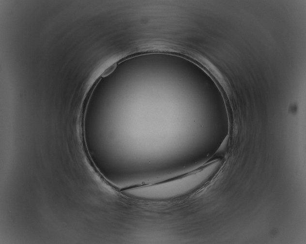 X0000089931293200707131424