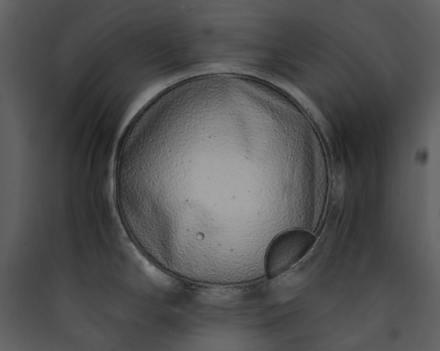 X0000089931294200707131424