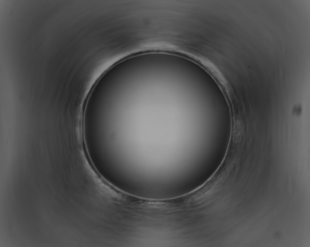 X0000089931295200707131424