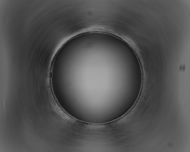 X0000089931296200707131424