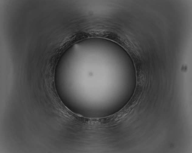 X0000089931297200707131423