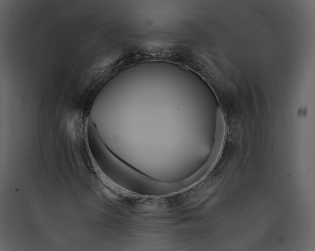 X0000089931298200707131423