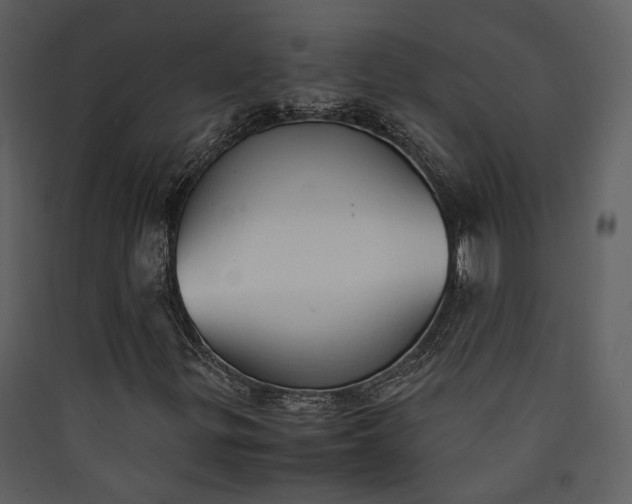 X0000089931299200707131423