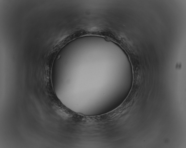 X0000089931301200707131424