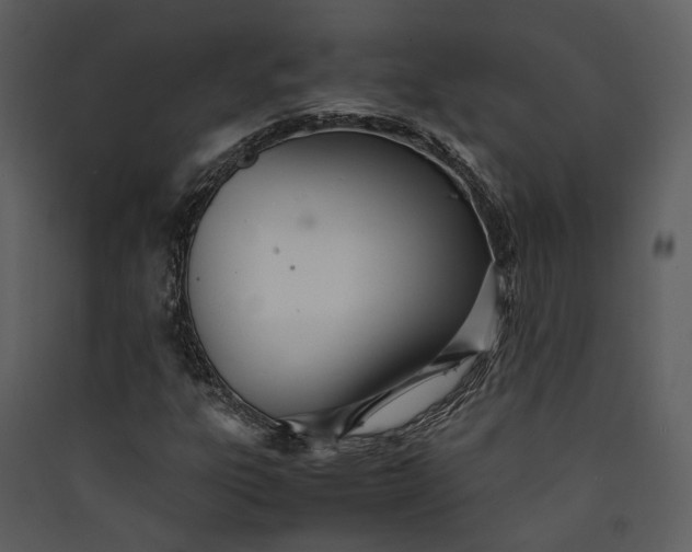 X0000089931303200707131424