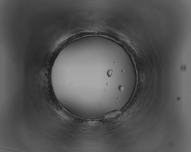 X0000089931304200707131424