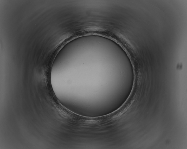 X0000089931305200707131424