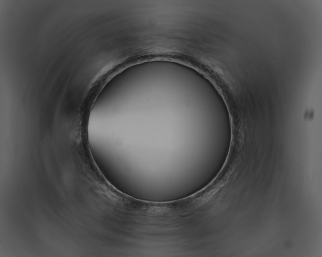 X0000089931306200707131424