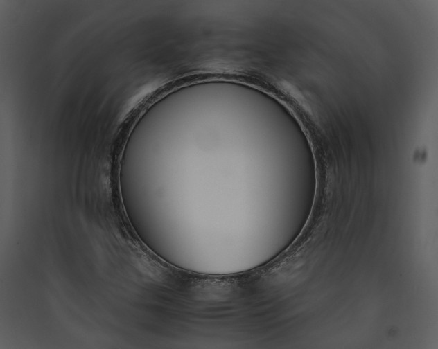 X0000089931307200707131424