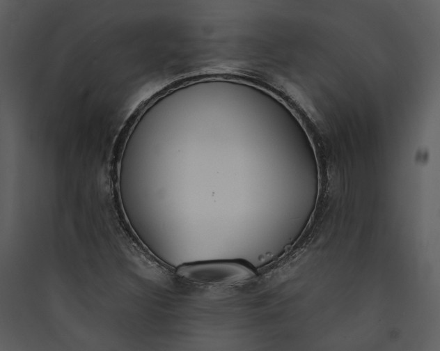 X0000089931308200707131424