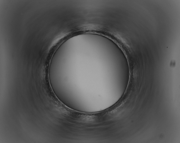 X0000089931309200707131424