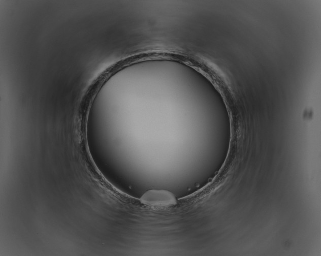 X0000089931310200707131424