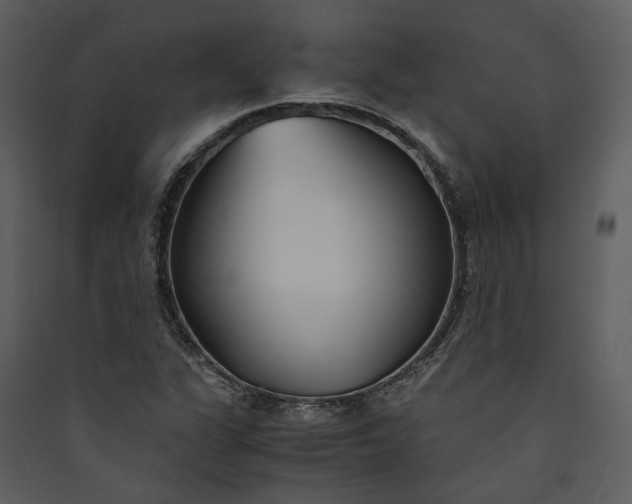 X0000089931311200707131424