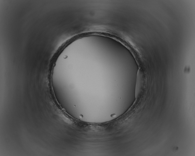 X0000089931312200707131424