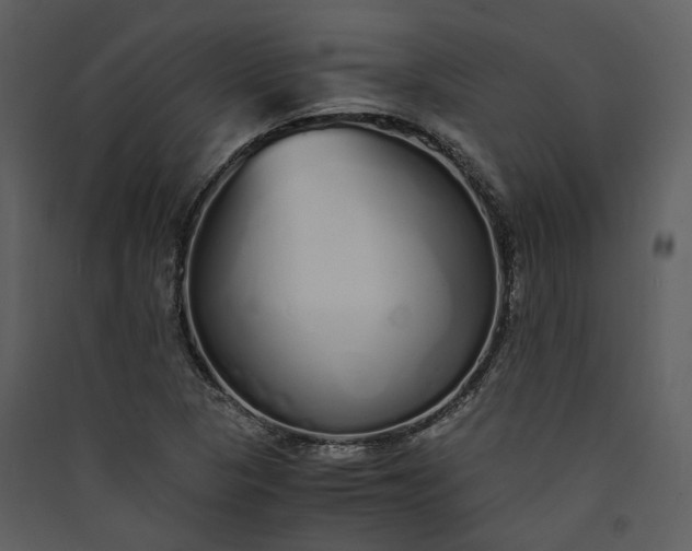 X0000089931313200707131424