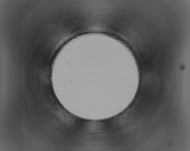 X0000089931314200707131424