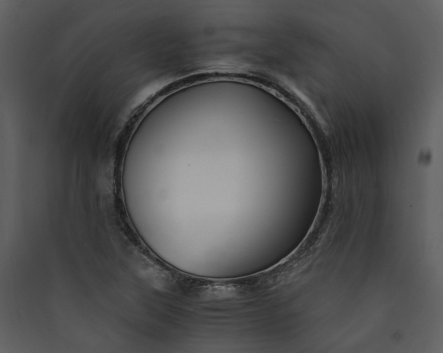 X0000089931315200707131424