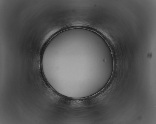 X0000089931317200707131424