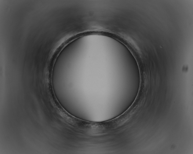 X0000089931318200707131424