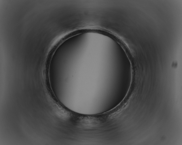 X0000089931319200707131424