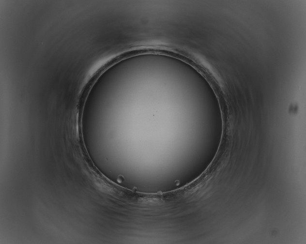 X0000089931320200707131424