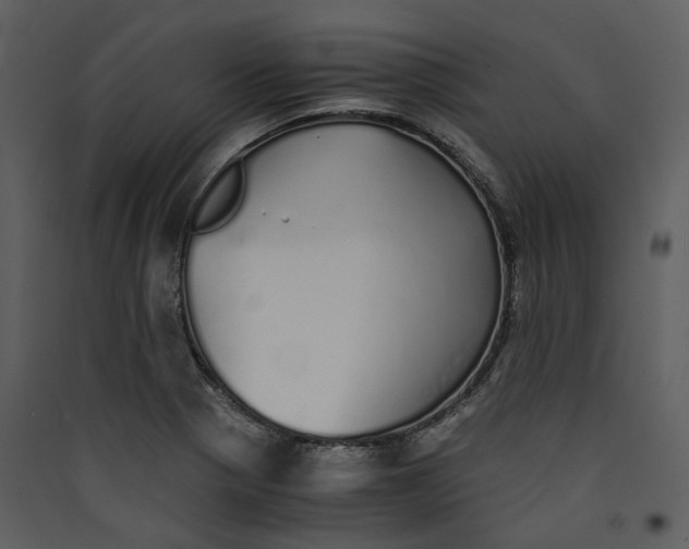 X0000089931321200707131424