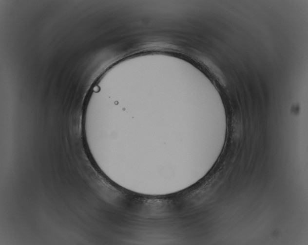 X0000089931322200707131424