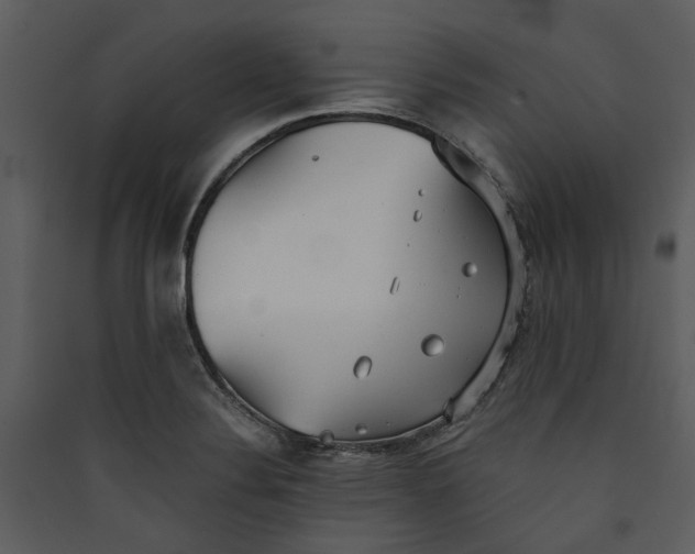 X0000089931324200707131424