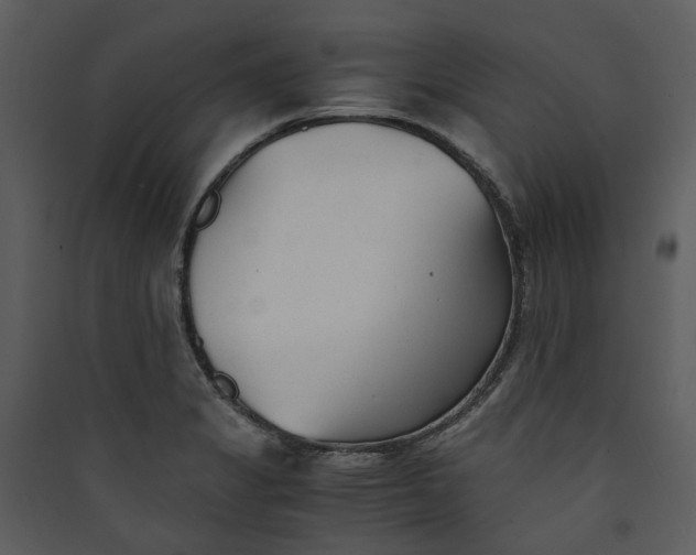 X0000089931325200707131424