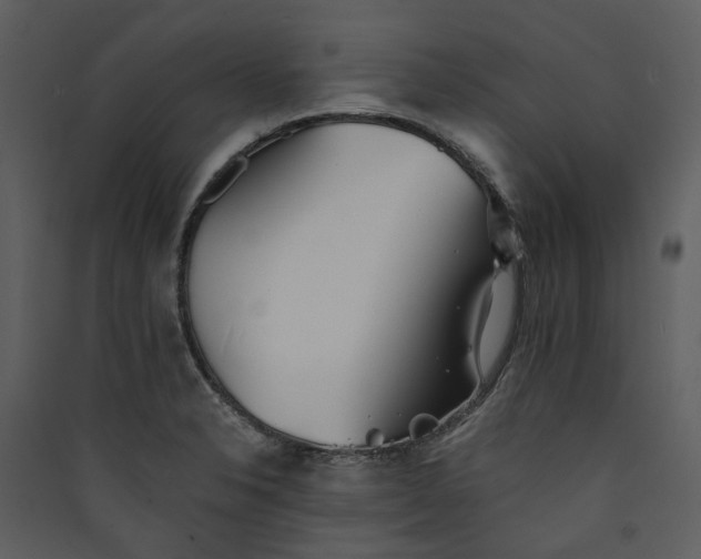 X0000089931326200707131424