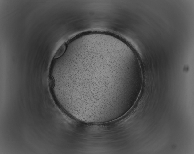 X0000089931327200707131424