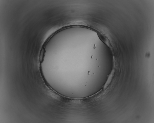 X0000089931328200707131424