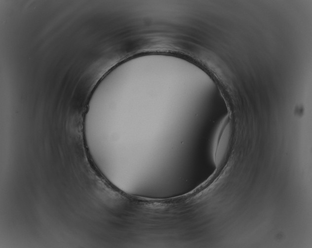 X0000089931329200707131424