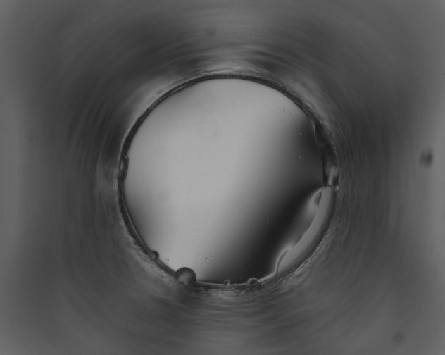 X0000089931330200707131424