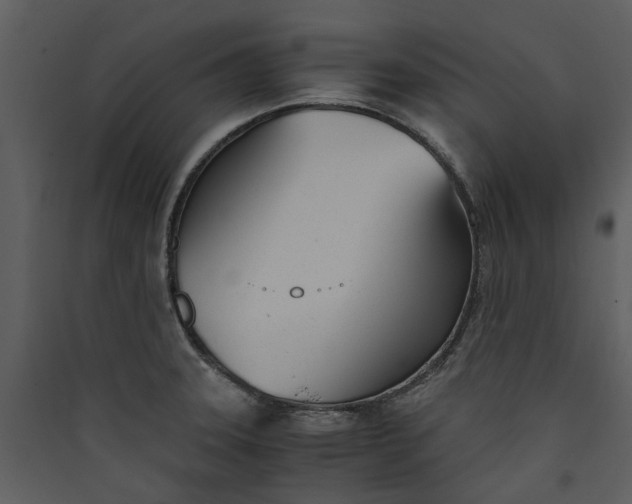 X0000089931331200707131424