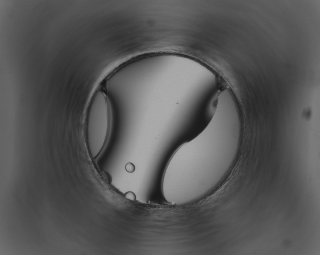 X0000089931332200707131424