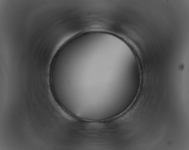 X0000089931333200707131424