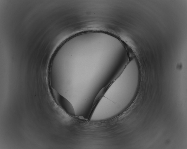 X0000089931334200707131424