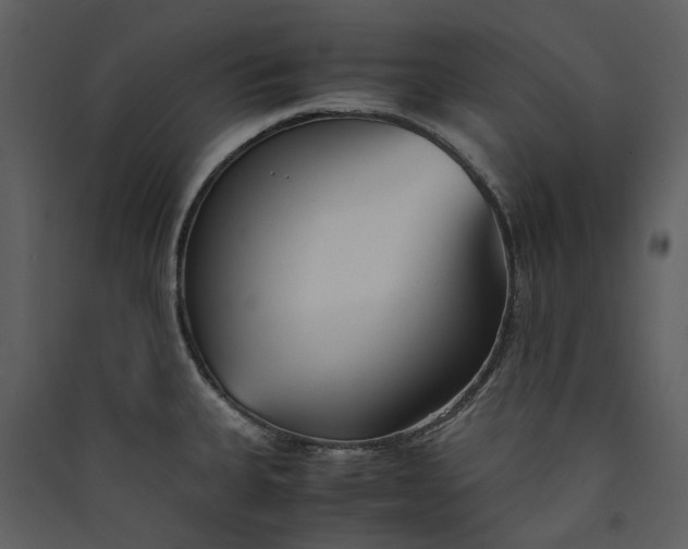 X0000089931335200707131424