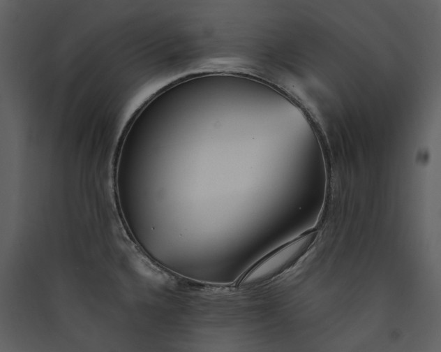 X0000089931336200707131424