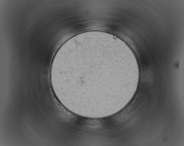 X0000089931338200707131424