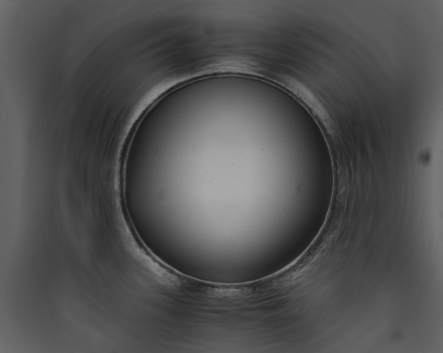 X0000089931339200707131424