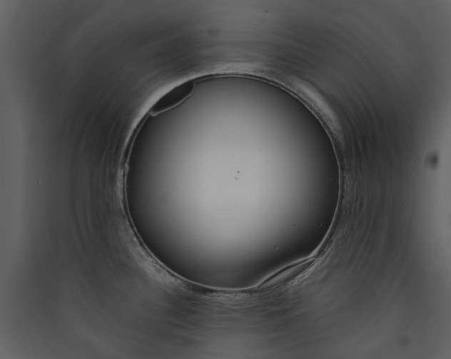 X0000089931340200707131424