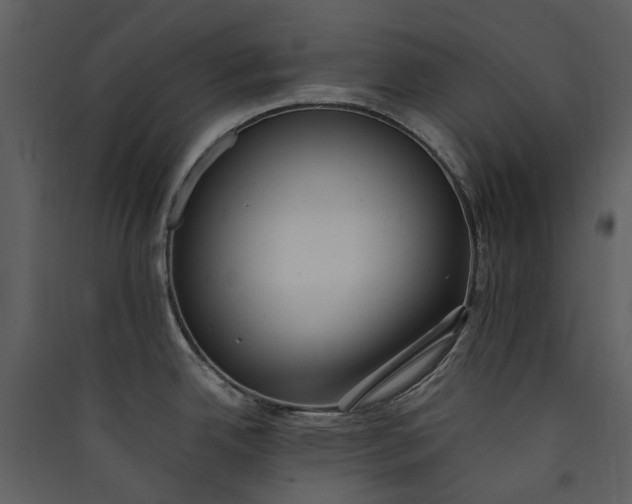 X0000089931342200707131424