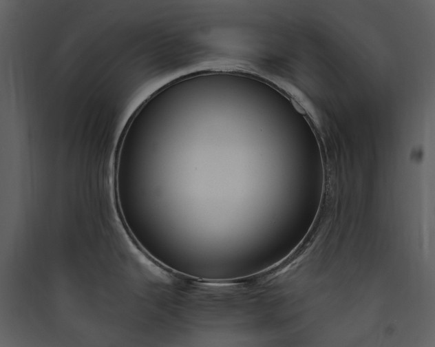 X0000089931343200707131424